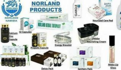NORLAND NIGERIA END OF THE YEAR PROMO