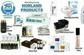 NORLAND NIGERIA END OF THE YEAR PROMO