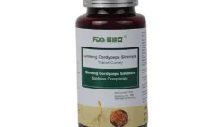 GINSENG CORDYCEPS SINENSIS